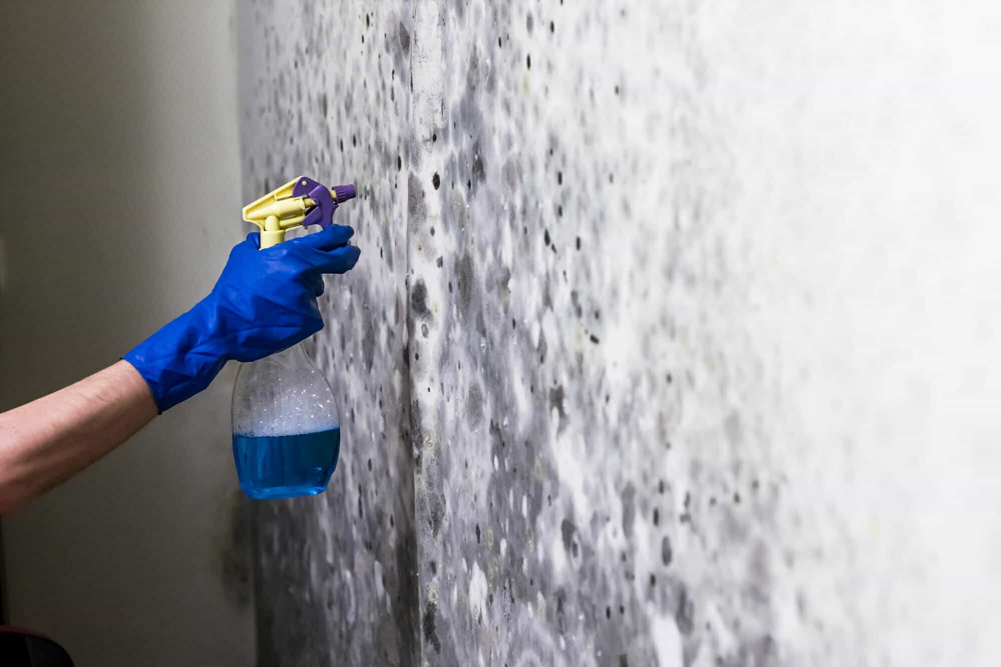 Fast & Effective Mold Removal Jefferson City Residents Rely On
